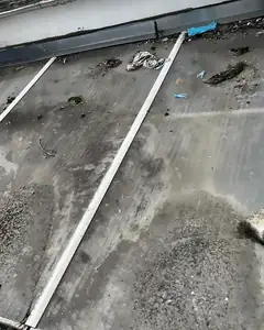 Überdachung aus Stegplatten vor der Reinigung durch MEMI