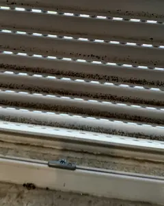 Fensterrahmen vor der Reinigung durch MEMI