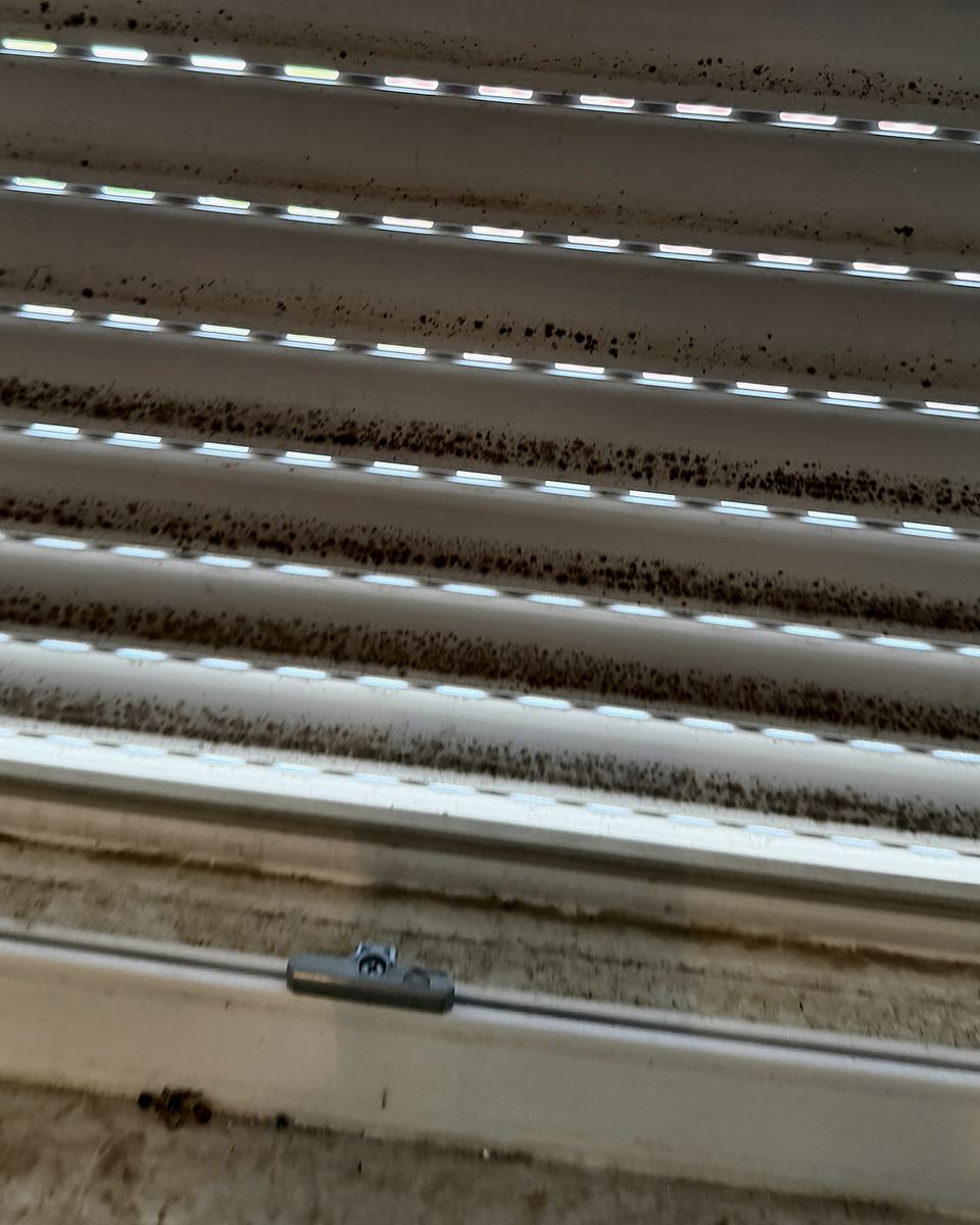 Rollladen und Fensterrahmen vor der Reinigung mit dunklen Ablagerungen auf Lamellen und Rahmen