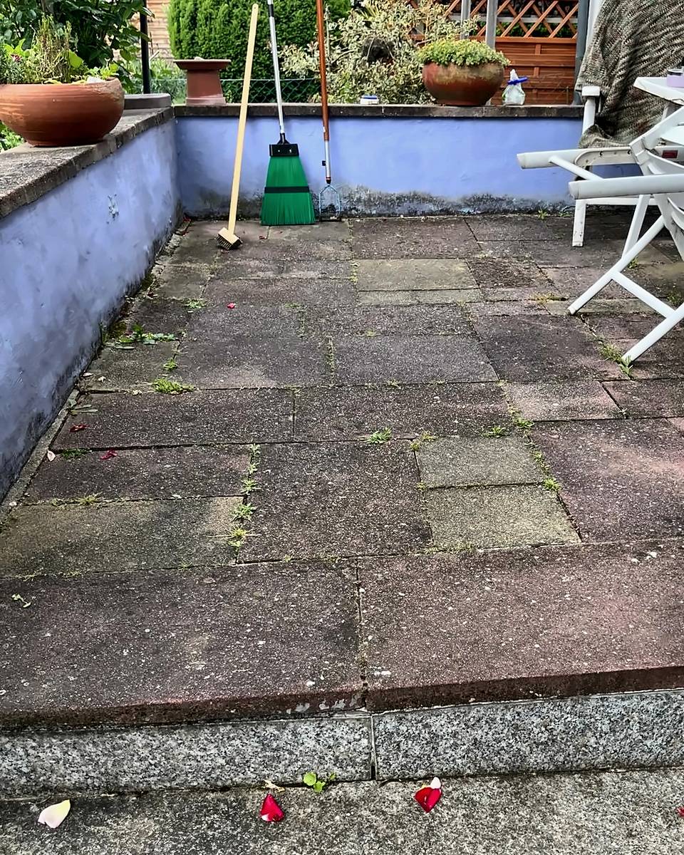 Terrasse vor der Reinigung: dunkle, bemooste Platten mit Bewuchs in den Fugen