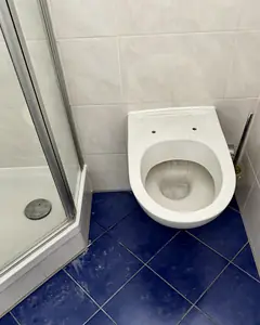 WC und Bodenfliesen vor der Reinigung durch MEMI