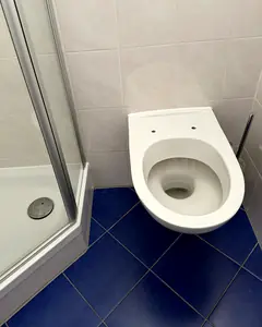 WC und Bodenfliesen nach der Reinigung durch MEMI